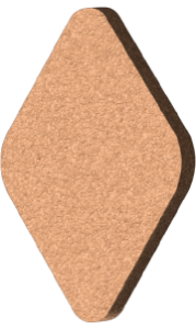 Cortiça